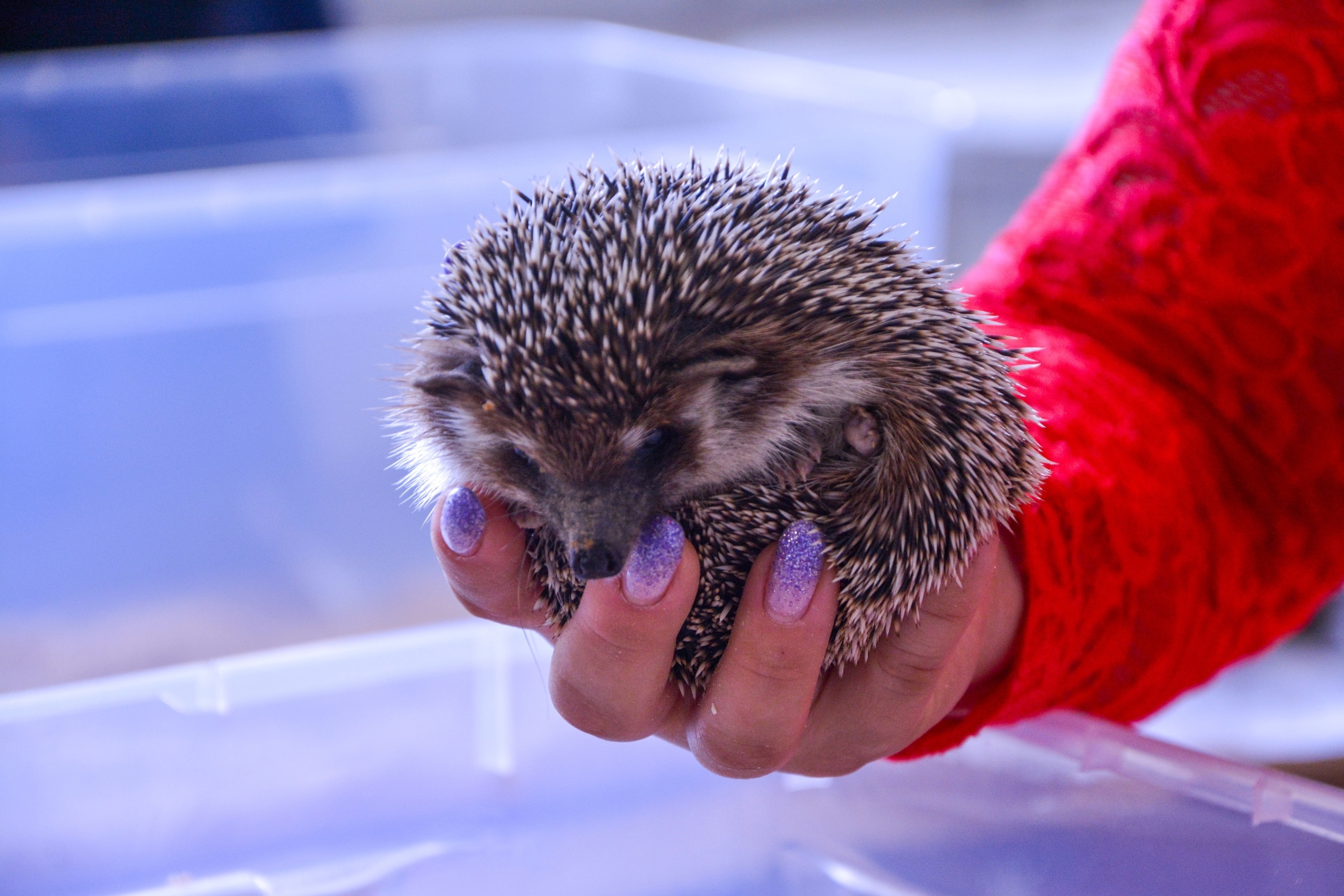 

Билеты на Пространство «Крыша» + фестиваль «Ежи» (Лофт Проект Этажи)