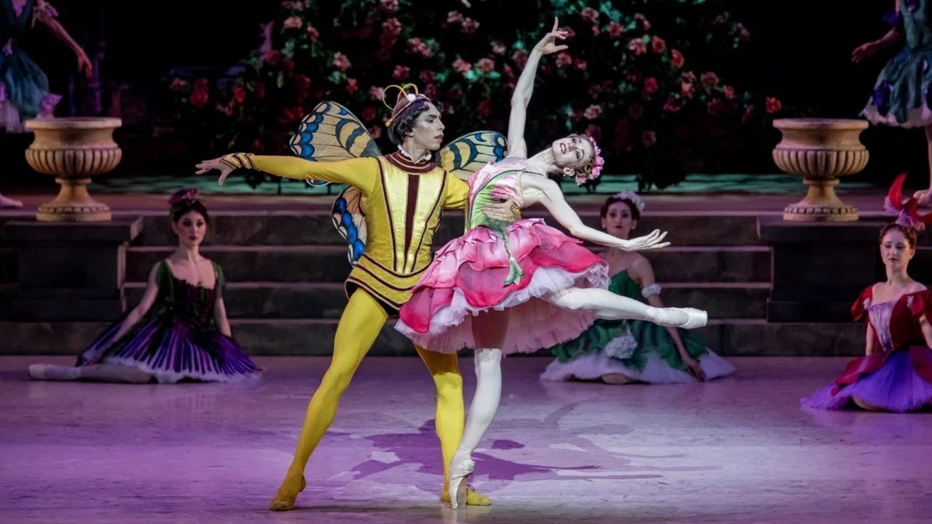 

Билеты на Балеты Императорского двора (Театр оперы и балета)