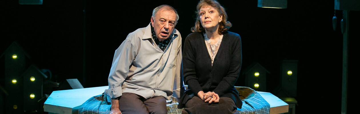 Земля Эльзы