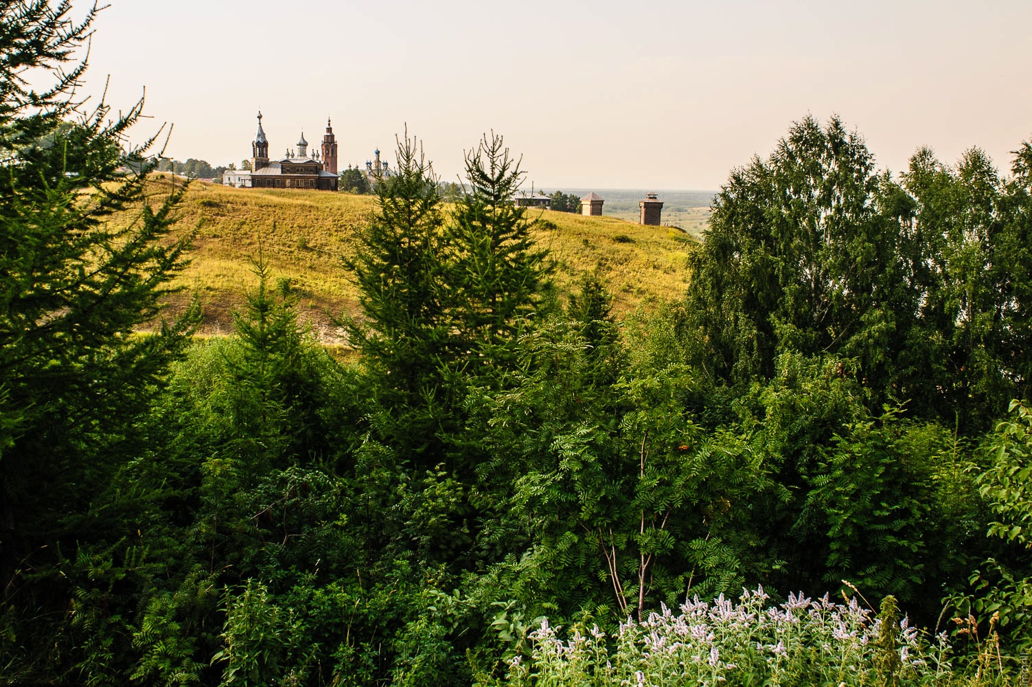 

Билеты на Столицы Перми Великой — Чердынь и Покча (Скульптура «Пермяк-соленые уши»)