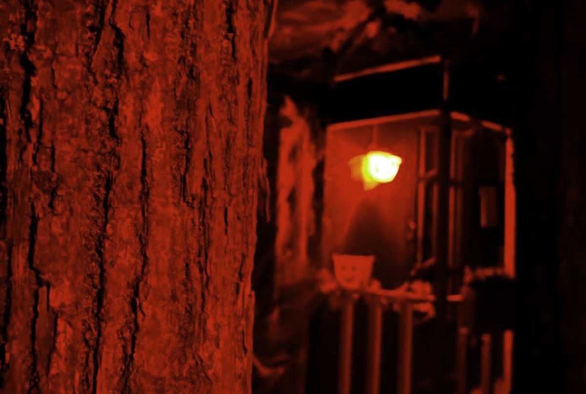 

Билеты на Дом Майкла Майерса (nosferatu (первомайская улица, 164))