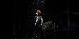 Страсти-мордасти