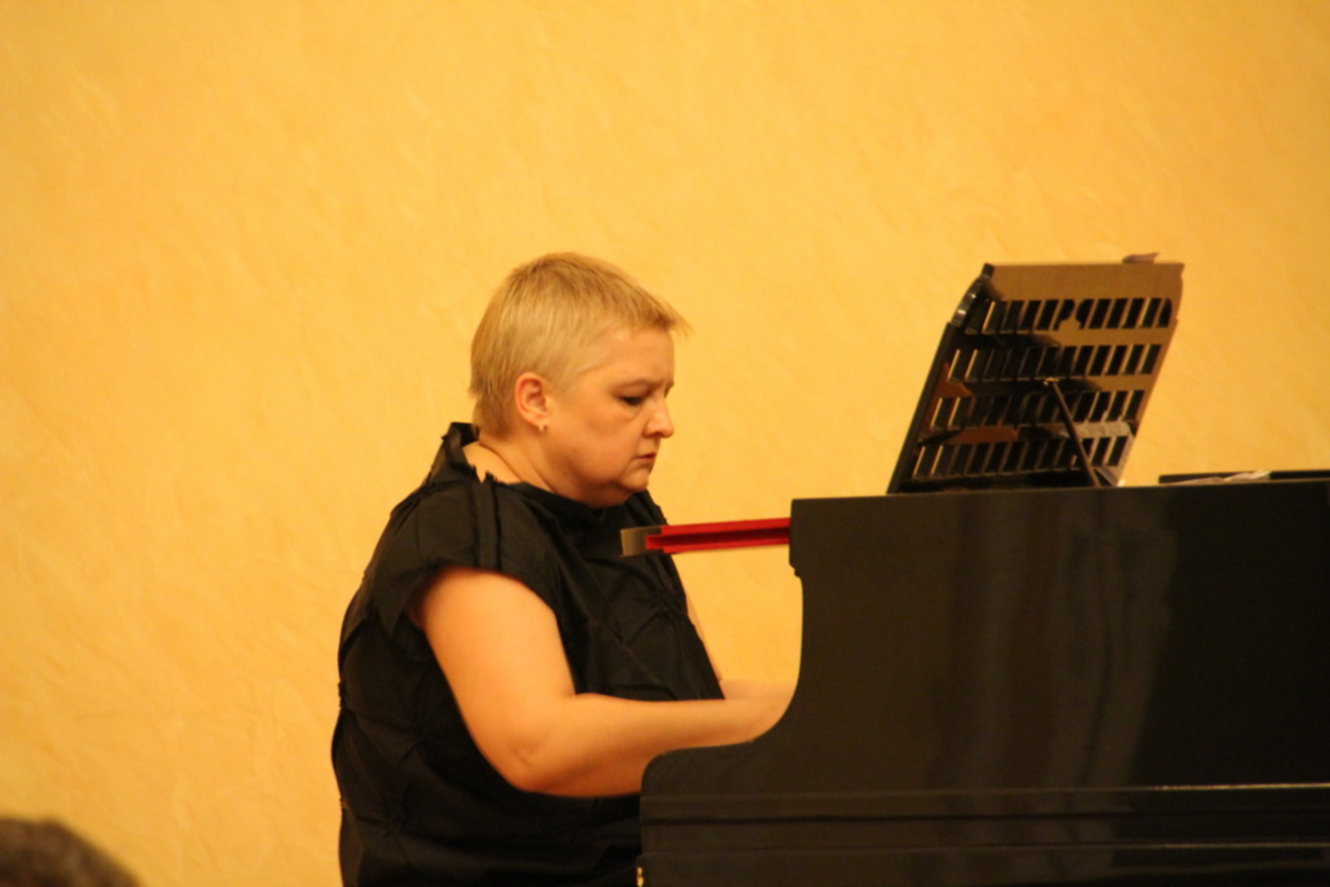 

Билеты на Забытое и знаменитое (Шереметевский дворец. Музей музыки)