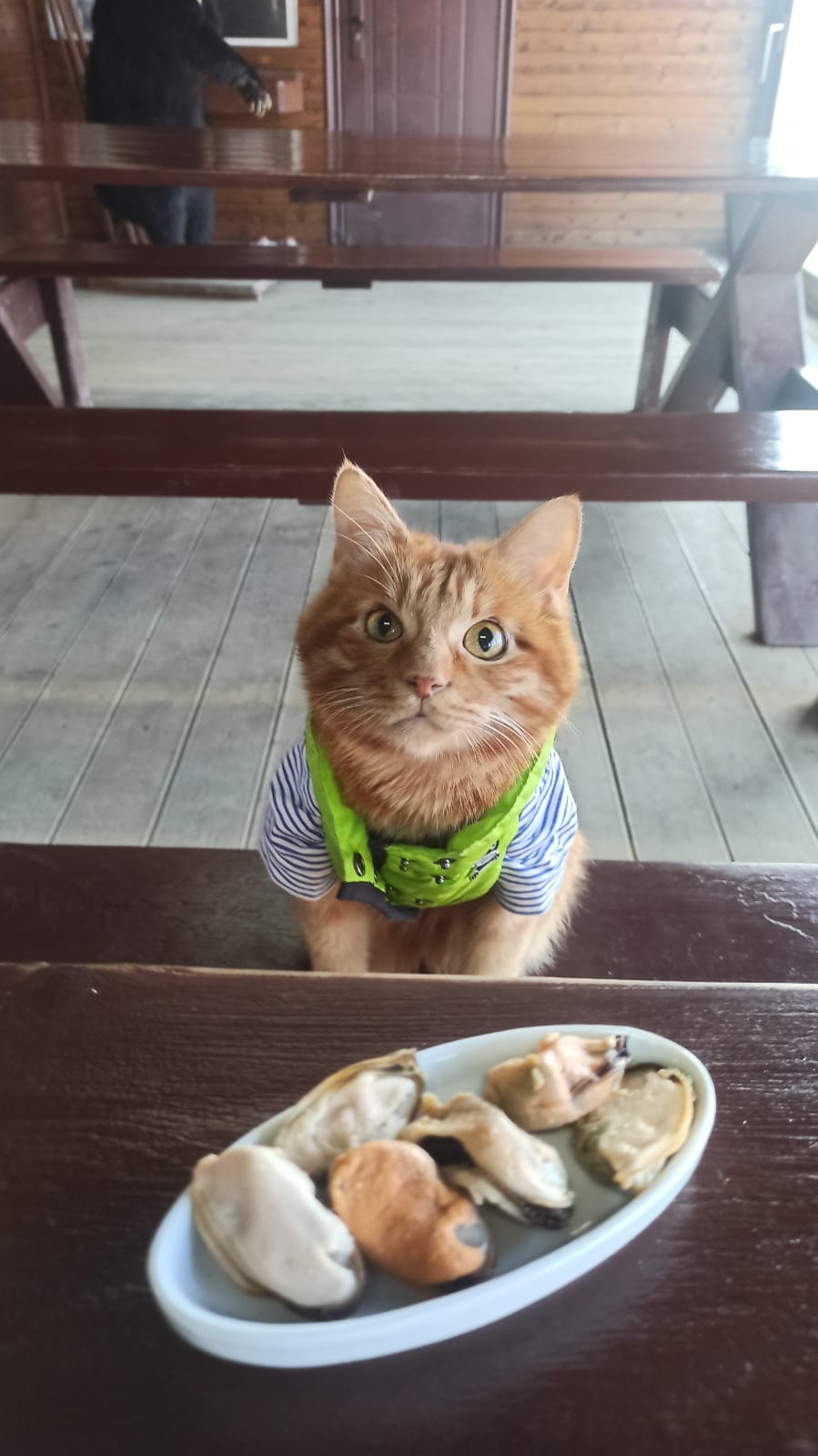 

Билеты на Морская ферма на острове Русский (Прогулка по острову Русский с посещением Морефермы)