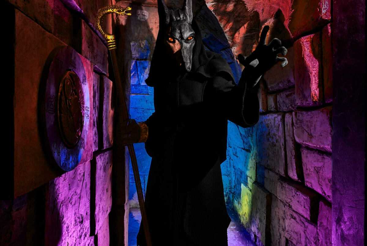 

Билеты на Фараон (Взаперти на Казанской)