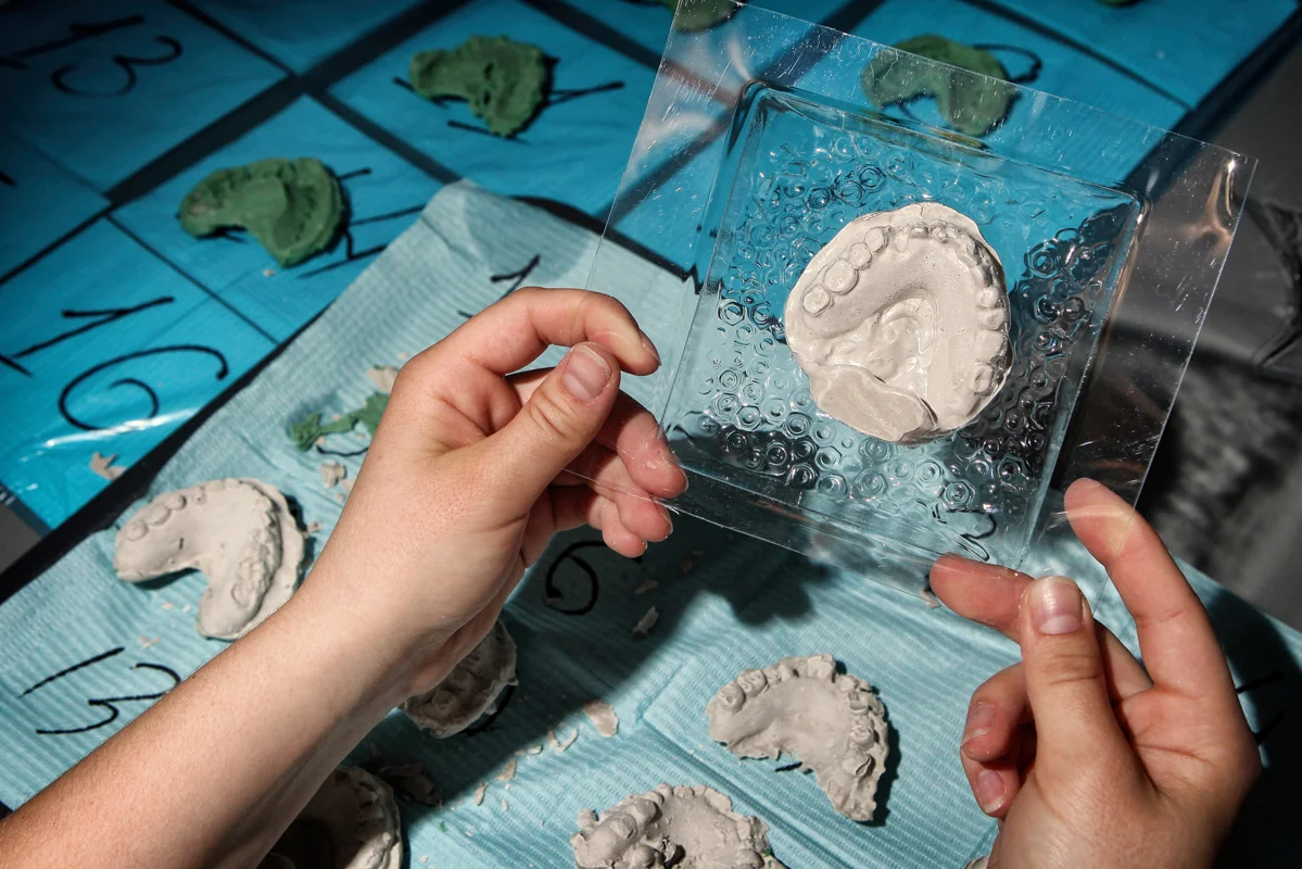 

Билеты на Медицинские программы от Sciencely (Умная школа)