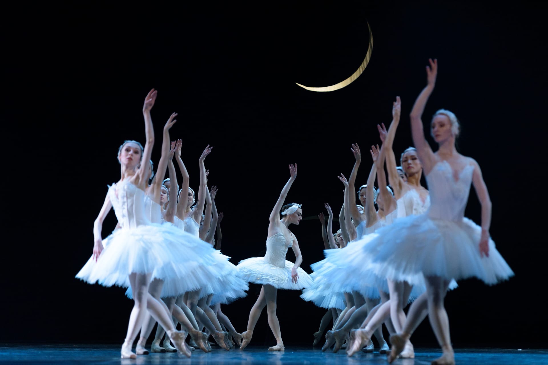 

Билеты на Лебединое озеро (Театр оперы и балета)