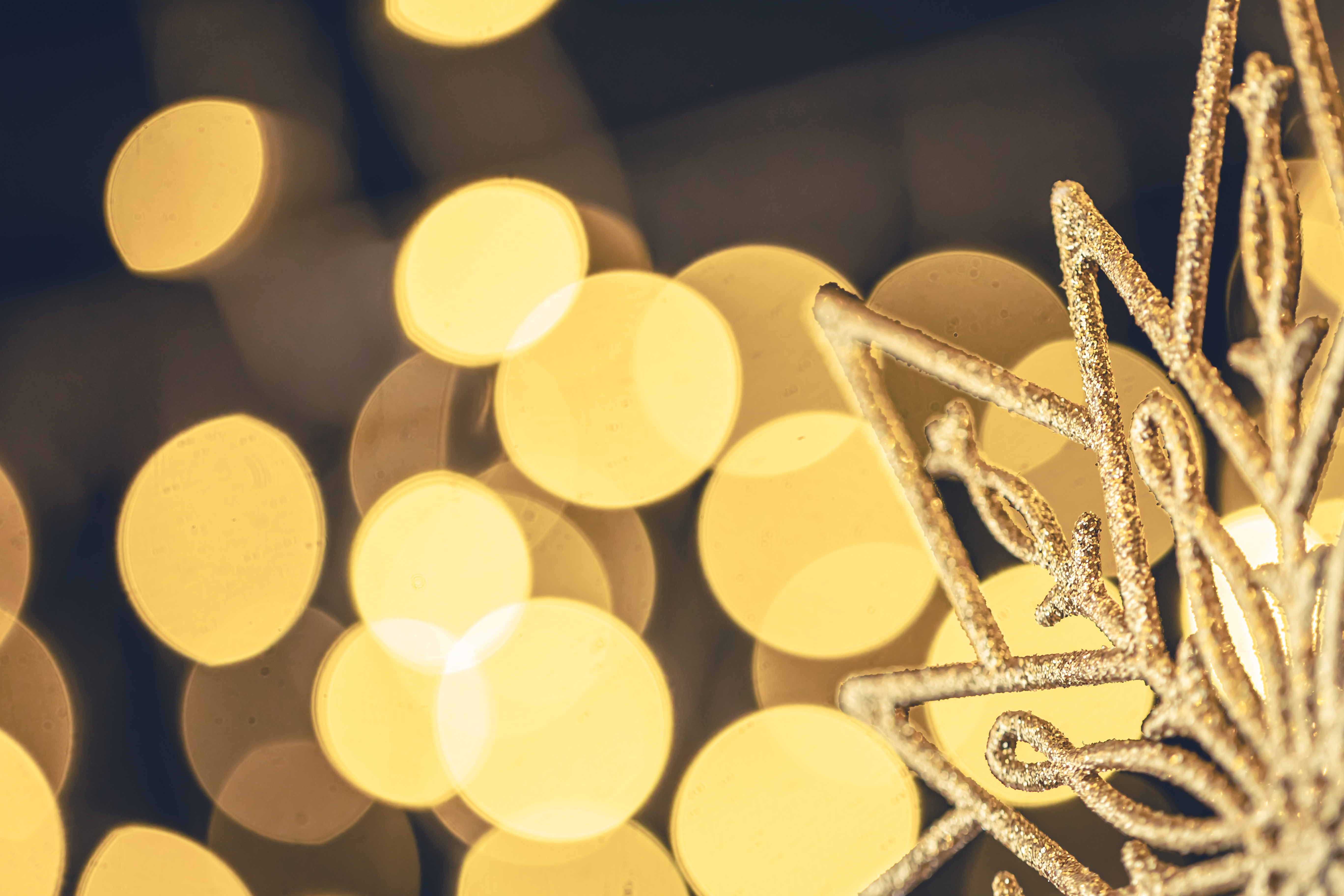 

Билеты на Чудный день Николы Зимнего (Особняк купца Носова)