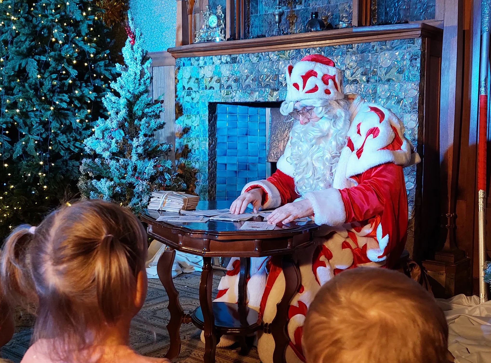 

Билеты на Дед Мороз меняет профессию (Особняк купца Носова)