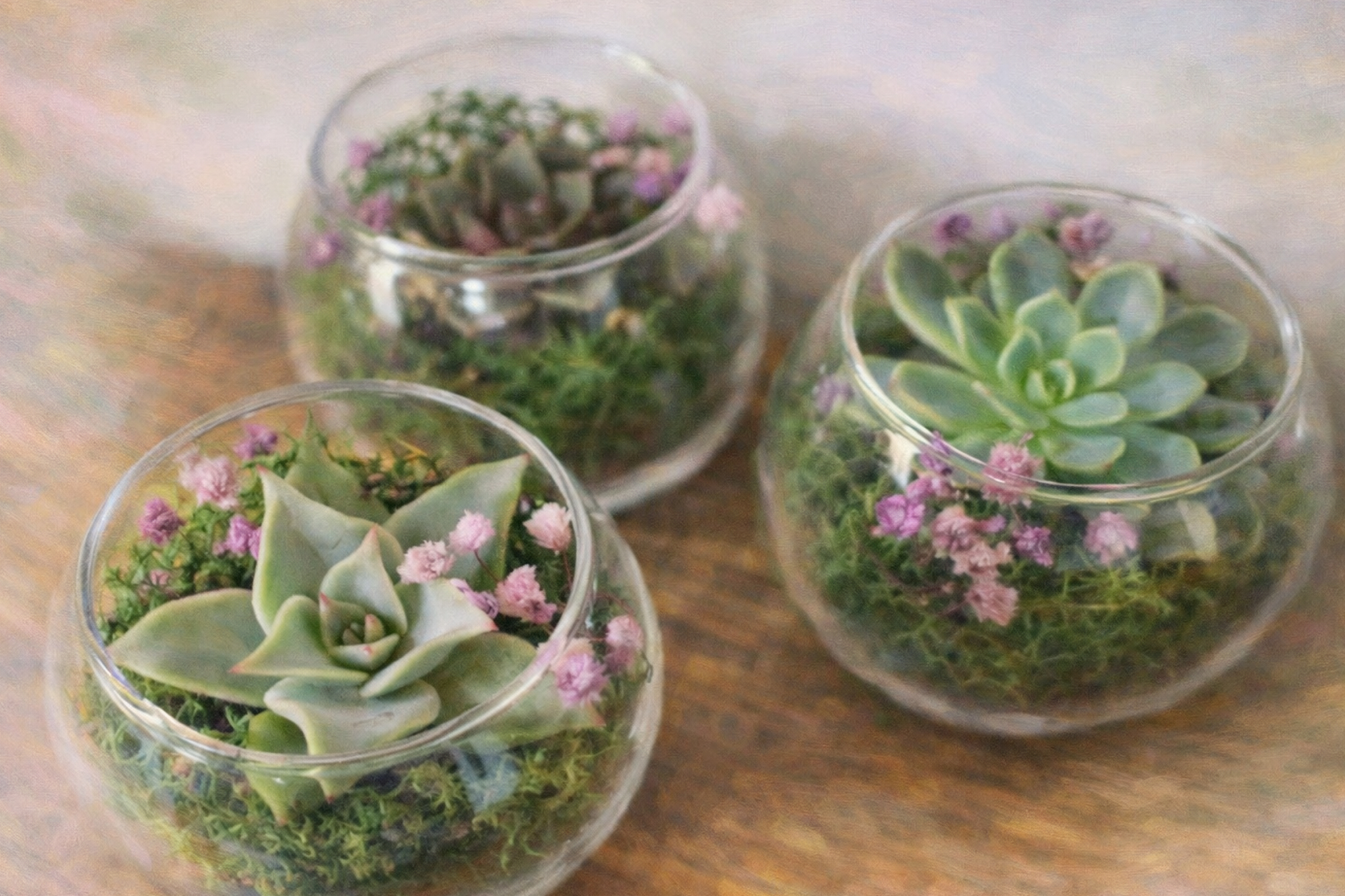 Афиша: Создание живого флорариума в Москве 18 апреля 2026