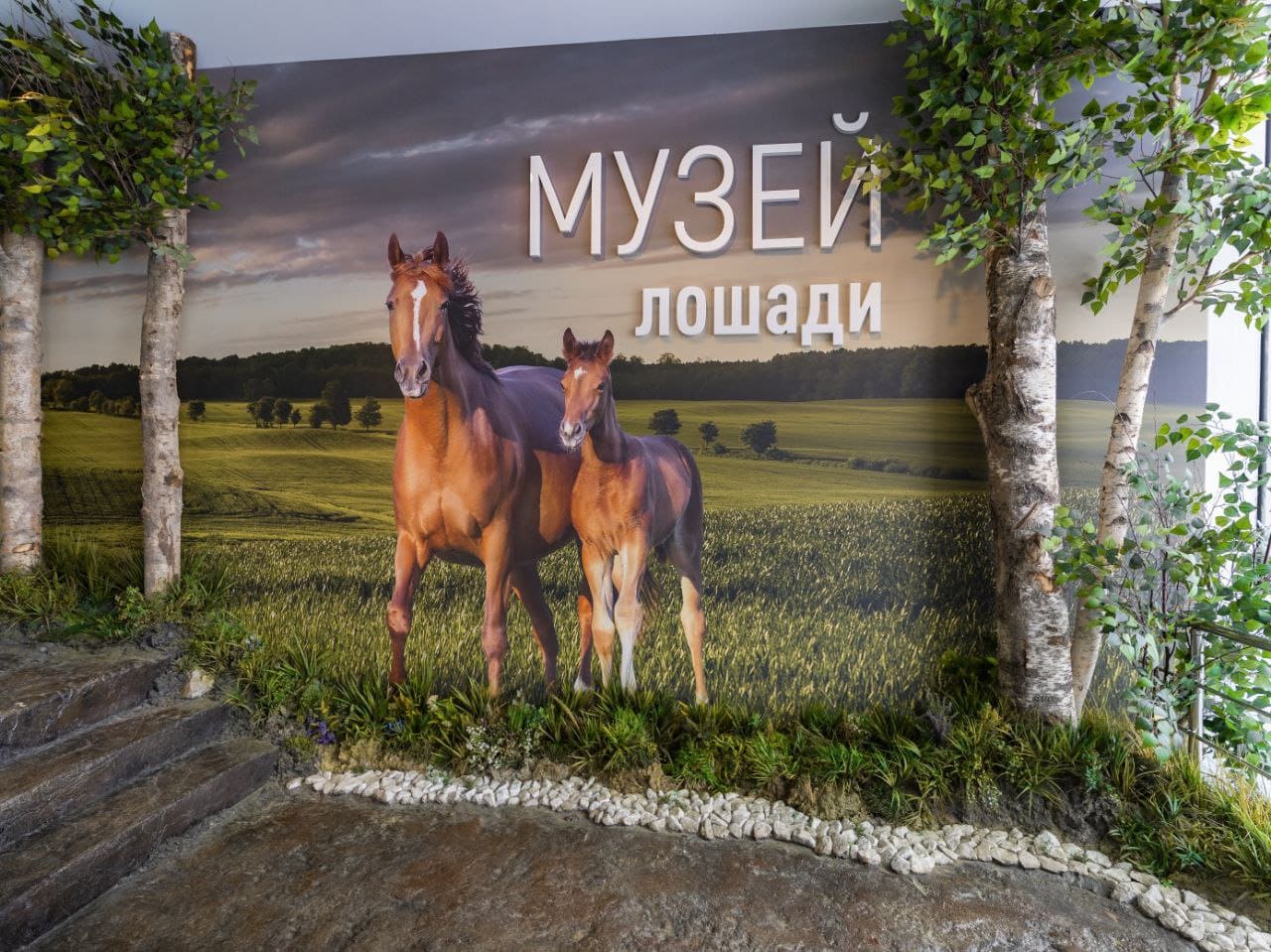 

Билеты на Обзорная экскурсия по интерактивной экспозиции «Музей лошади» (Центр национальных конных традиций)