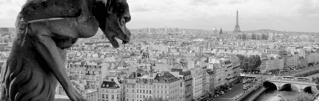 Нотр-Дам де Пари в проекте Opera XXI