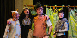 Кошка, которая гуляла, где хотела