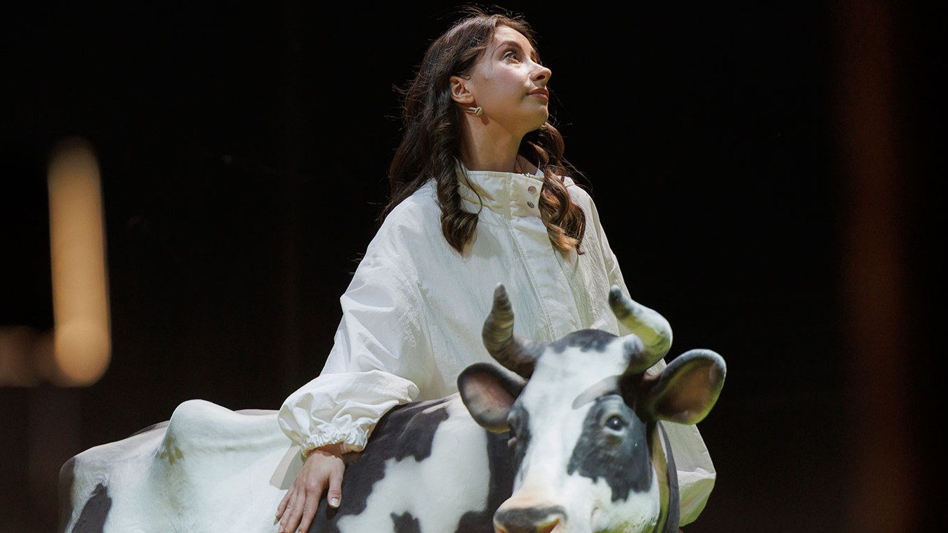 

Билеты на Битва жизни (Театр драмы им. Пушкина)