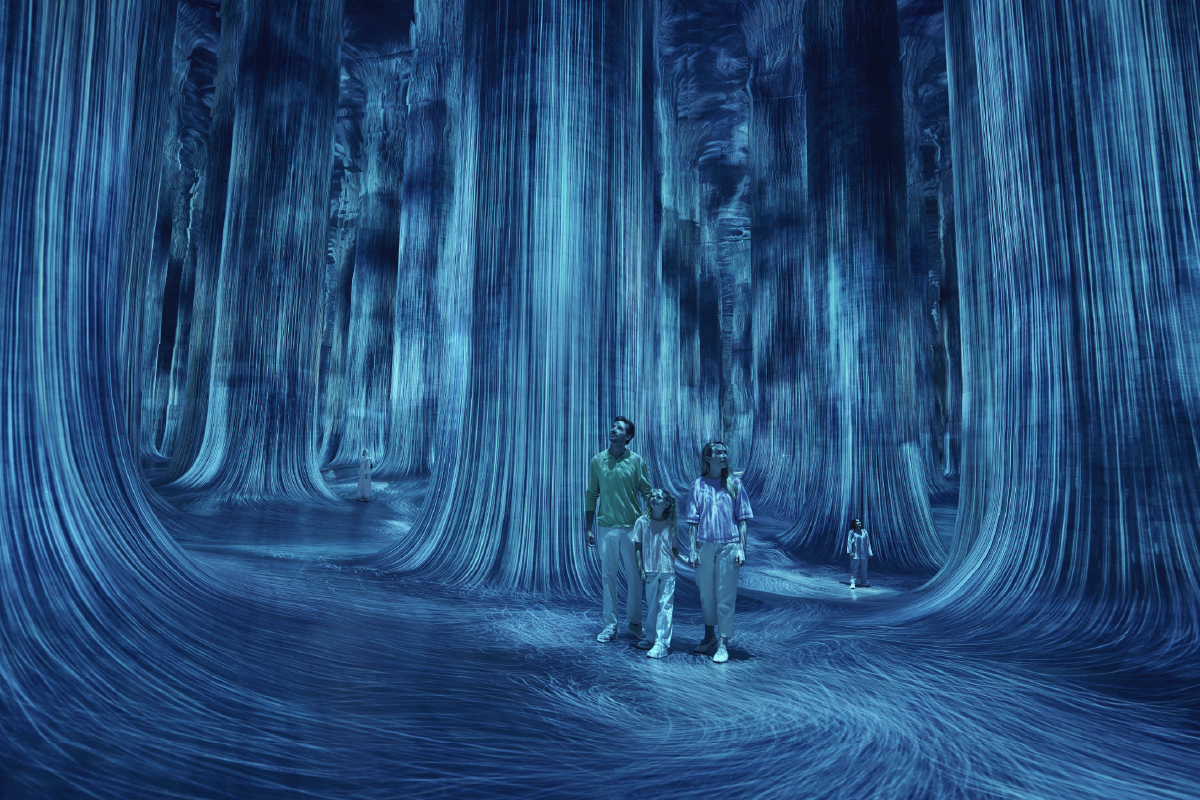 

Билеты на teamLab Phenomena Abu Dhabi (Культурные жемчужины Абу-Даби (Абу-Даби, ОАЭ))