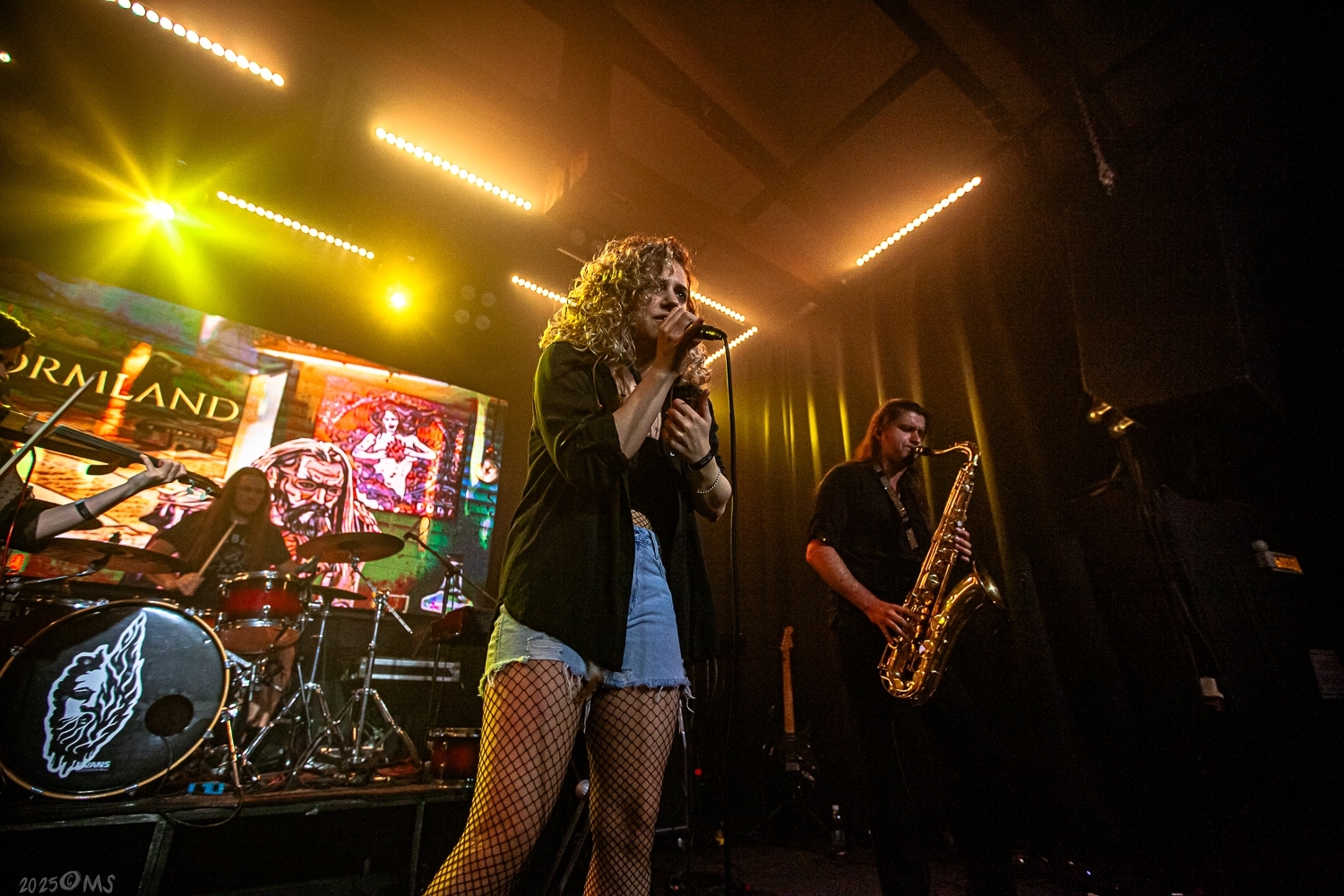 

Билеты на Stormland, Mother snake, Swett (The Place)