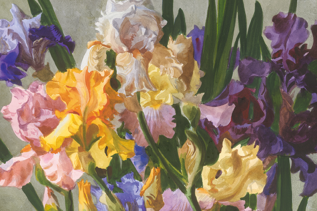 

Билеты на Букет с дополнительными предметами в технике многослойной акварельной живописи (Зарядье)