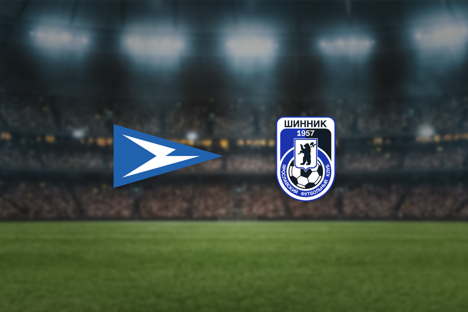 Чайка — Шинник