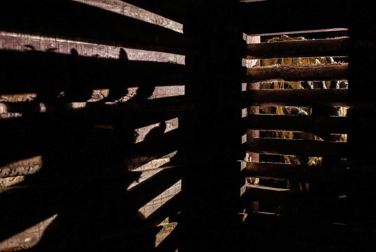 

Билеты на Дом теней (Импульс (Школьная улица, 13/9))