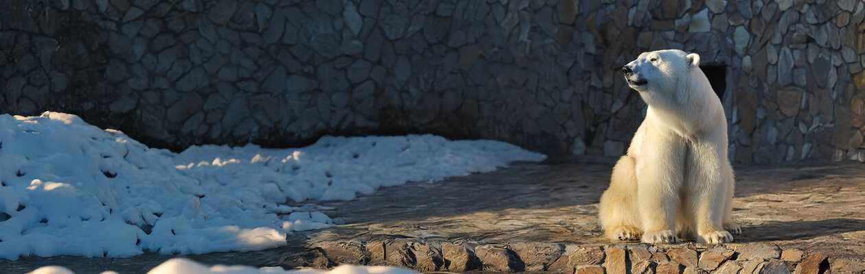 Ленинградский зоопарк