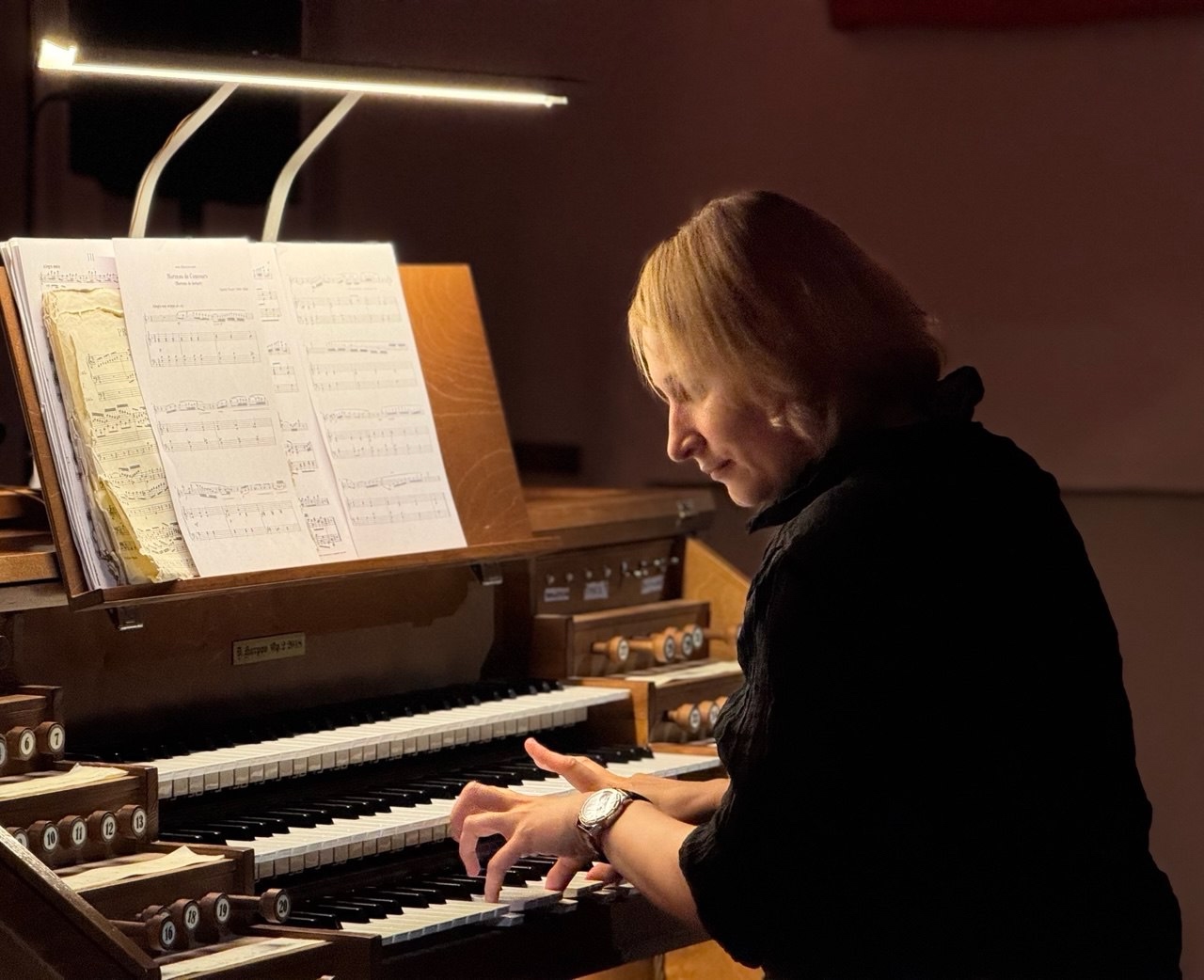 

Билеты на Цветы музыки / Fiori musicali. Ирина Розанова (Евангелическо-Лютеранская церковь Святой Марии)