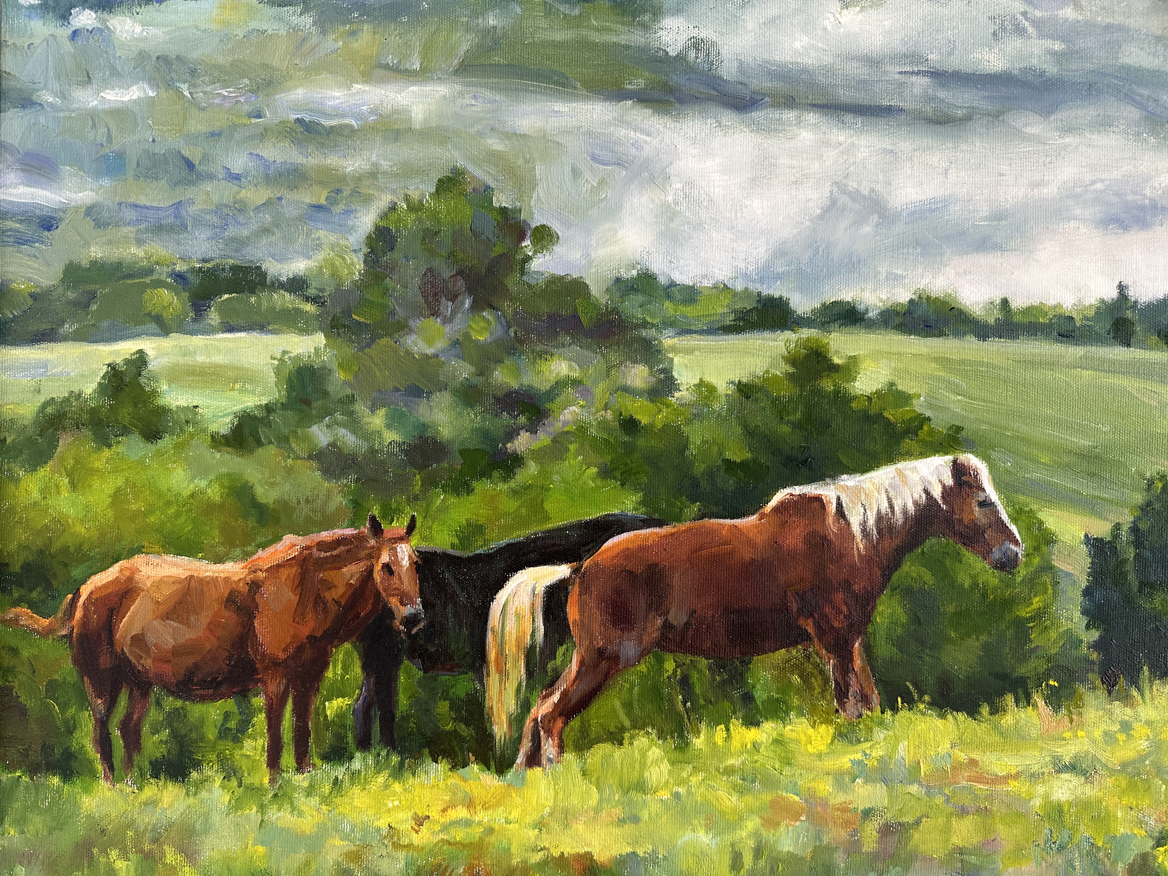 

Билеты на Сергей Маценко. Живопись — как необходимость 2 (Белый квадрат)