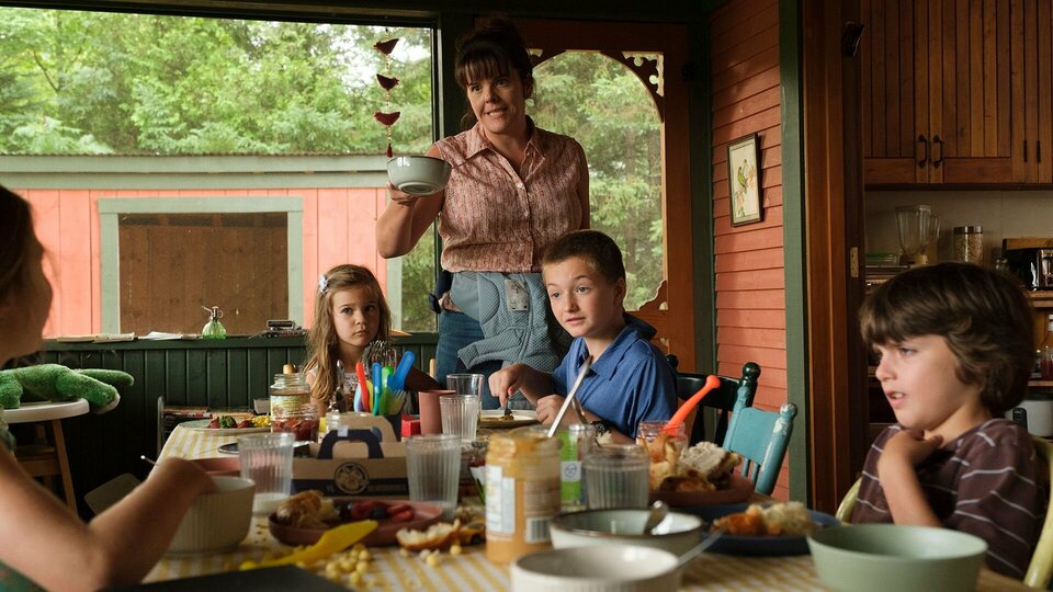 Мы купили птицеферму