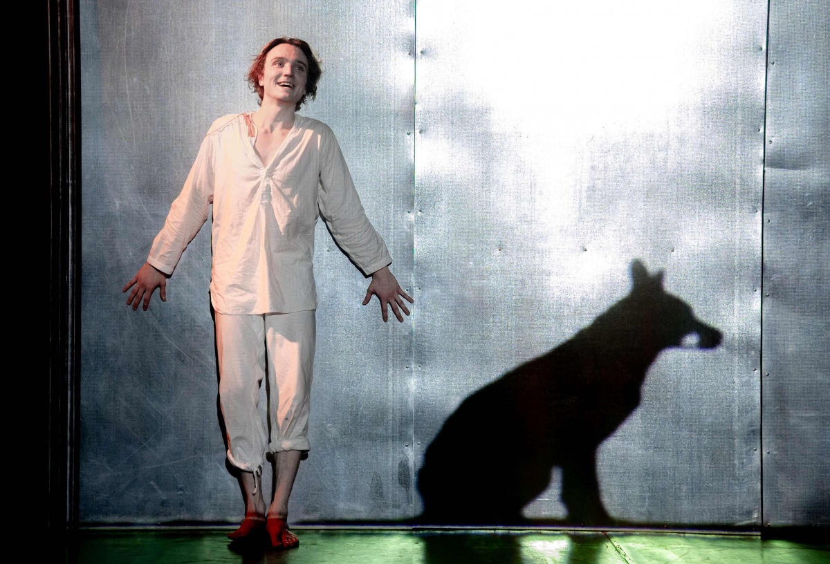 

Билеты на Собачье сердце (Драматический театр им. Кирова)