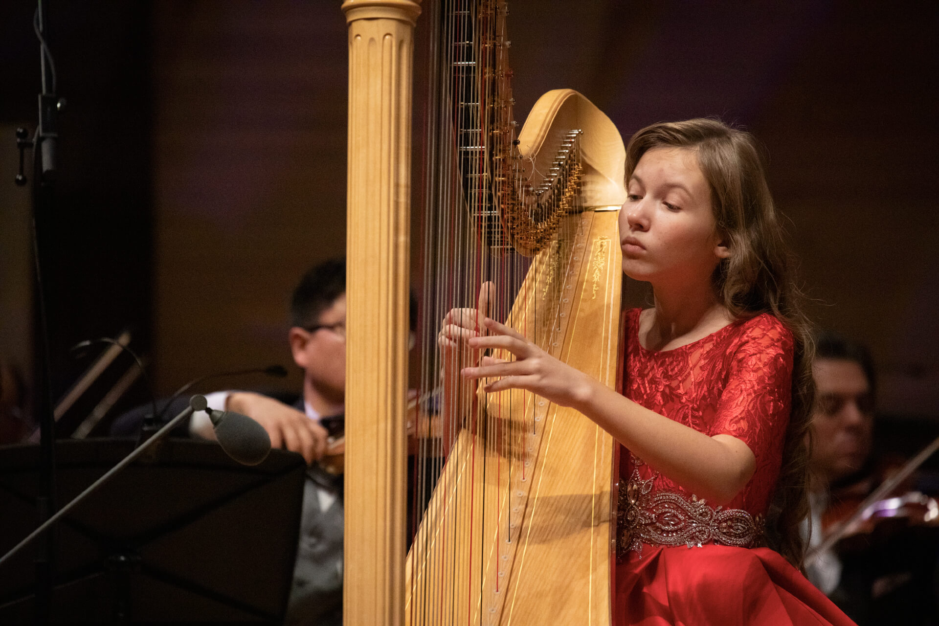 

Билеты на Рождественские чудеса. МБФ Владимира Спивакова (Дом музыки)