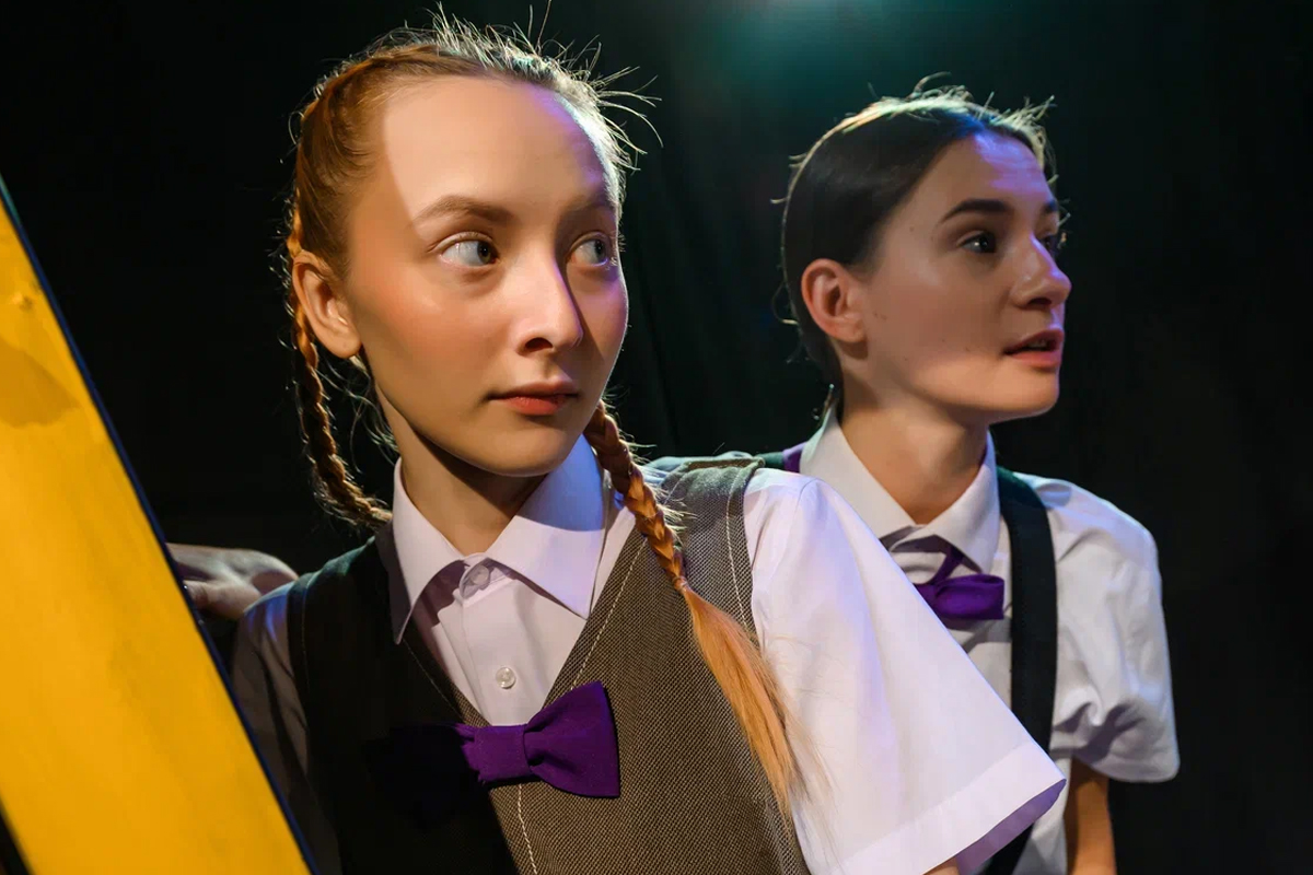 

Билеты на Меня удочерила Горилла (Первый театр)