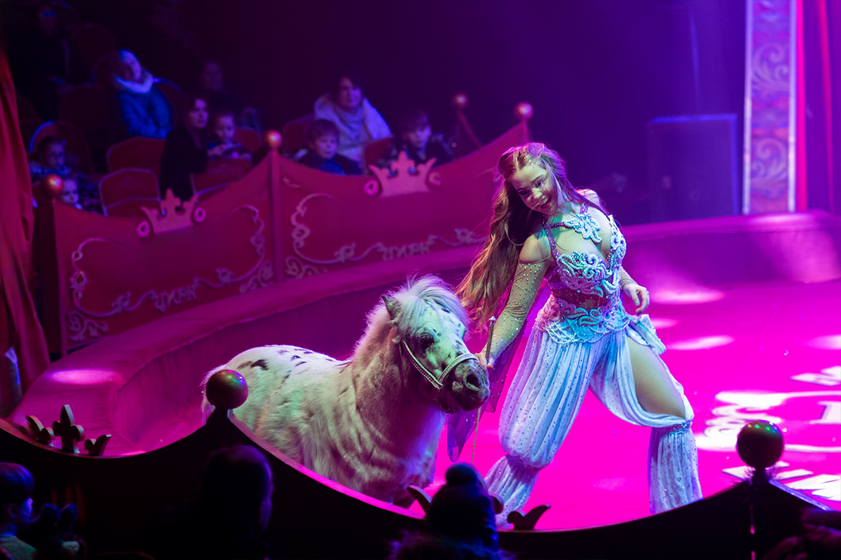 

Билеты на Кудзинов (Цирк-шапито «Кудзинов» (Домодедовская))