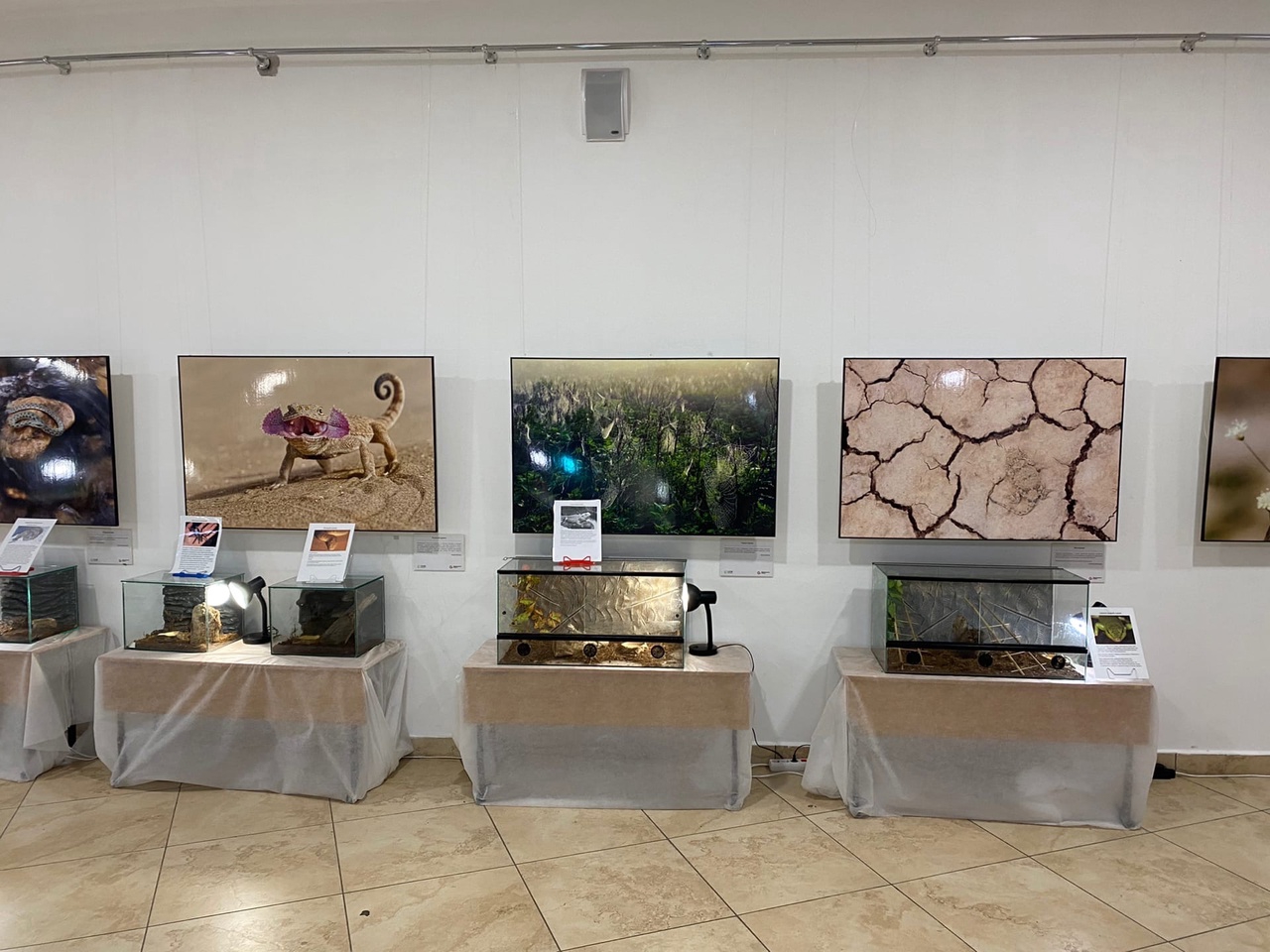 

Билеты на Фантастические твари (ТЦ «Полюс»)