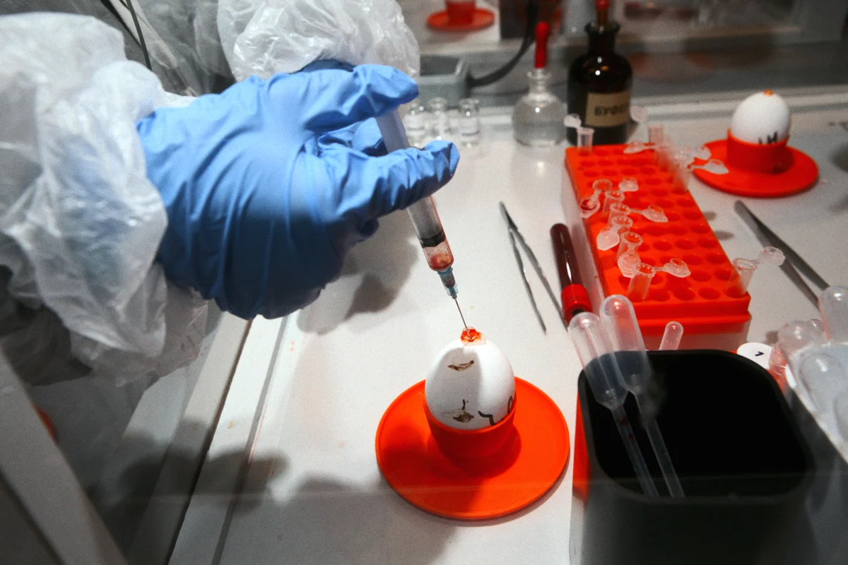 Афиша: Эпидемия в Уфе 19 апреля 2026