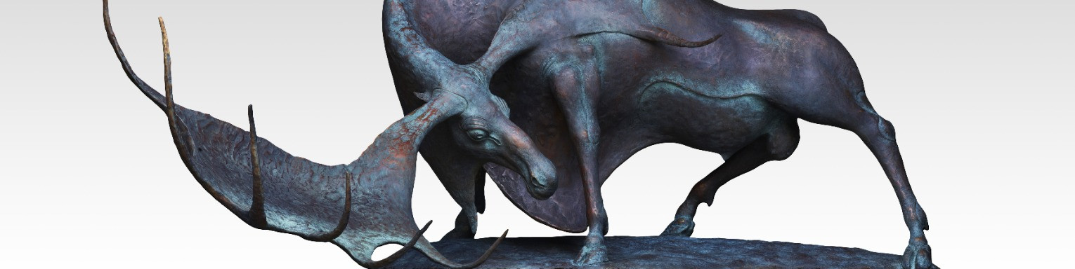 

Билеты на Сибирь. История и истоки (Художественный музей)