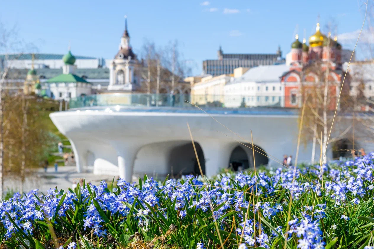 

Билеты на Обзорная экскурсия по парку «Зарядье» (Зарядье)