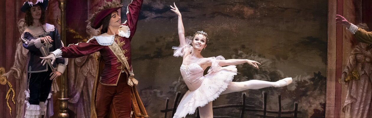 Спящая красавица