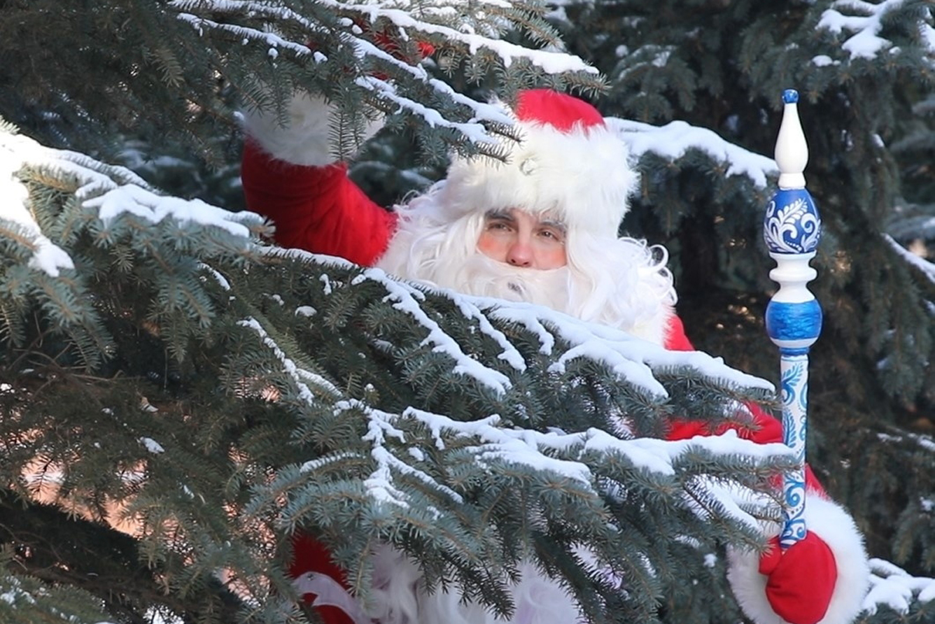 

Билеты на Резиденция Деда Мороза. Сказка «Морозко» (Дендрологический сад им. Гензе)