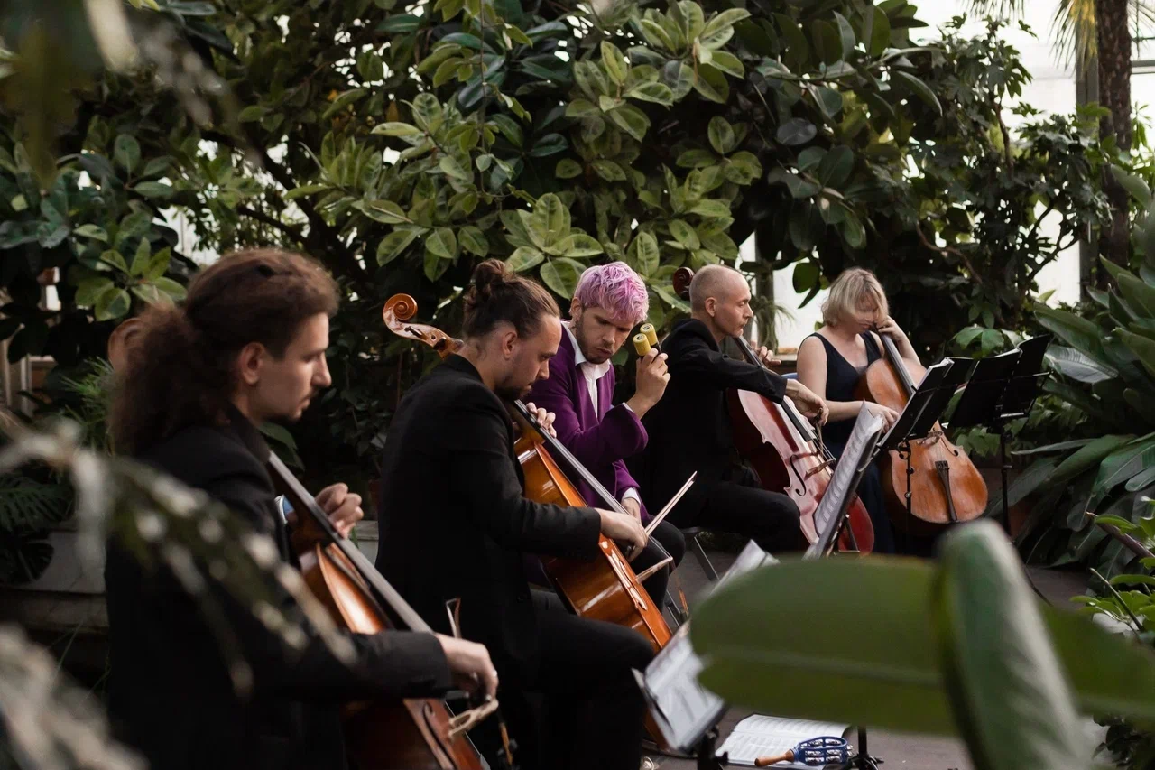 

Билеты на Магия свечей. Рок-хиты на виолончелях в оранжерее (Оранжерея Таврического сада)