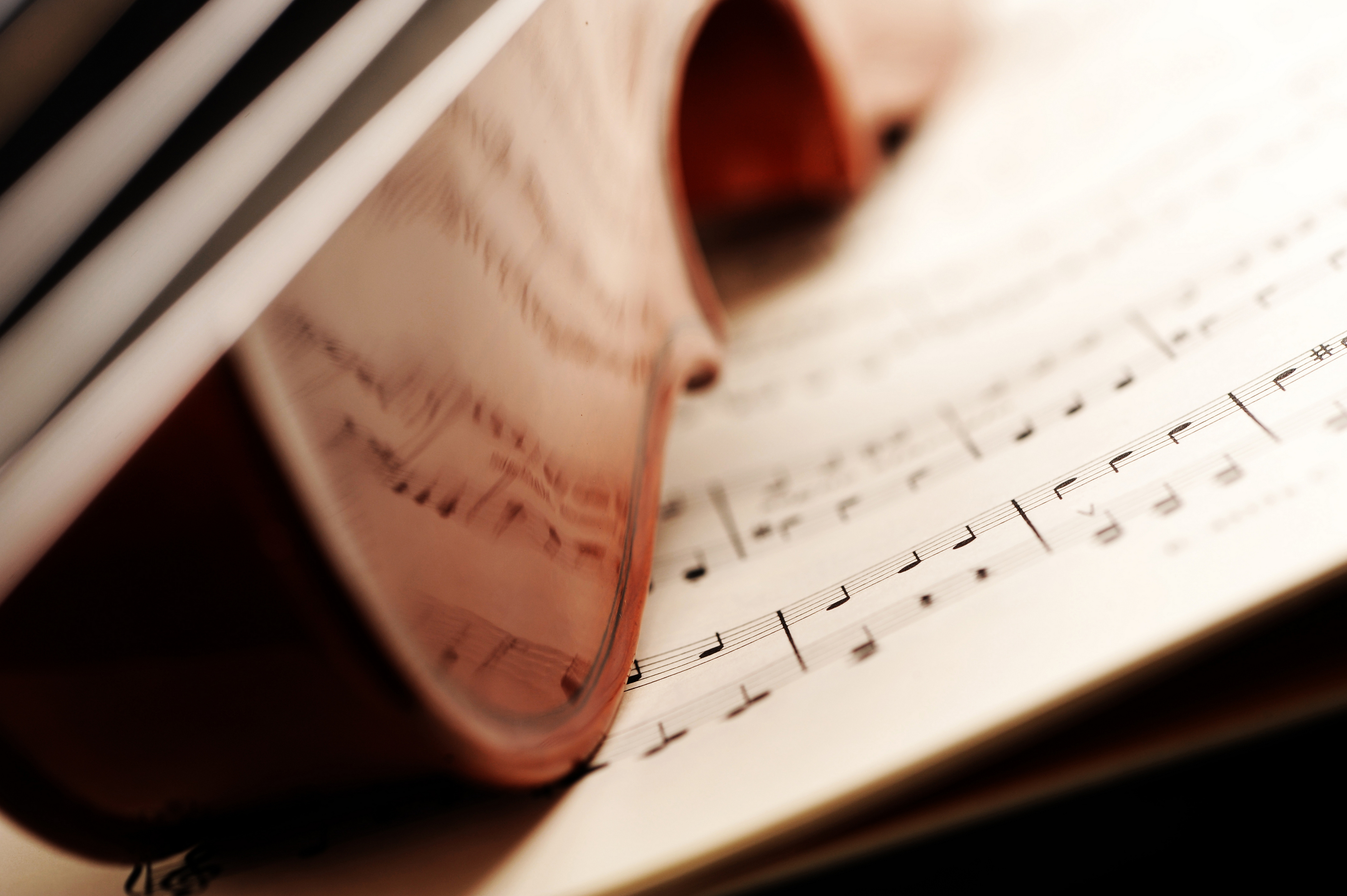 

Билеты на Nomusicians (ДК «Рассвет»)
