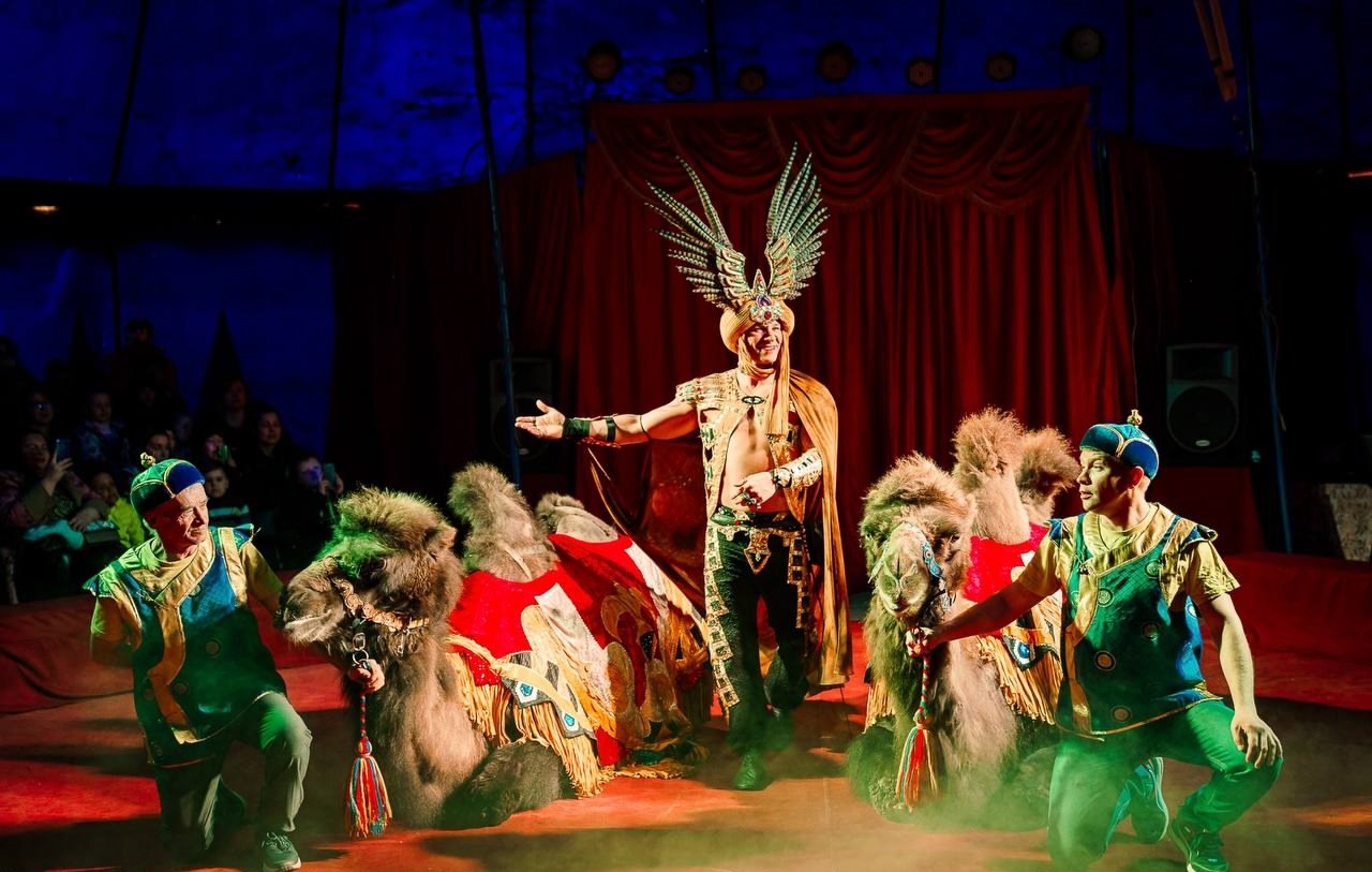 

Билеты на Цирк «Феникс» (Цирк-шапито «Феникс»)