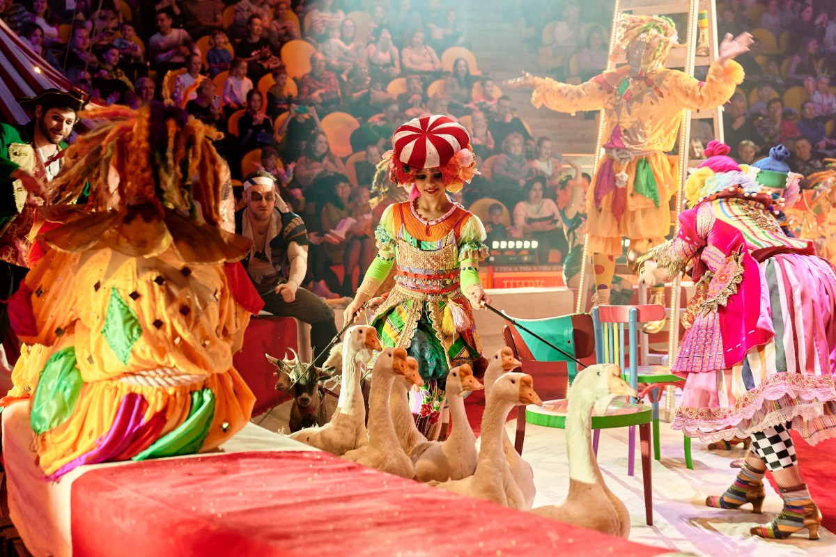 

Билеты на Балаган (Цирк)