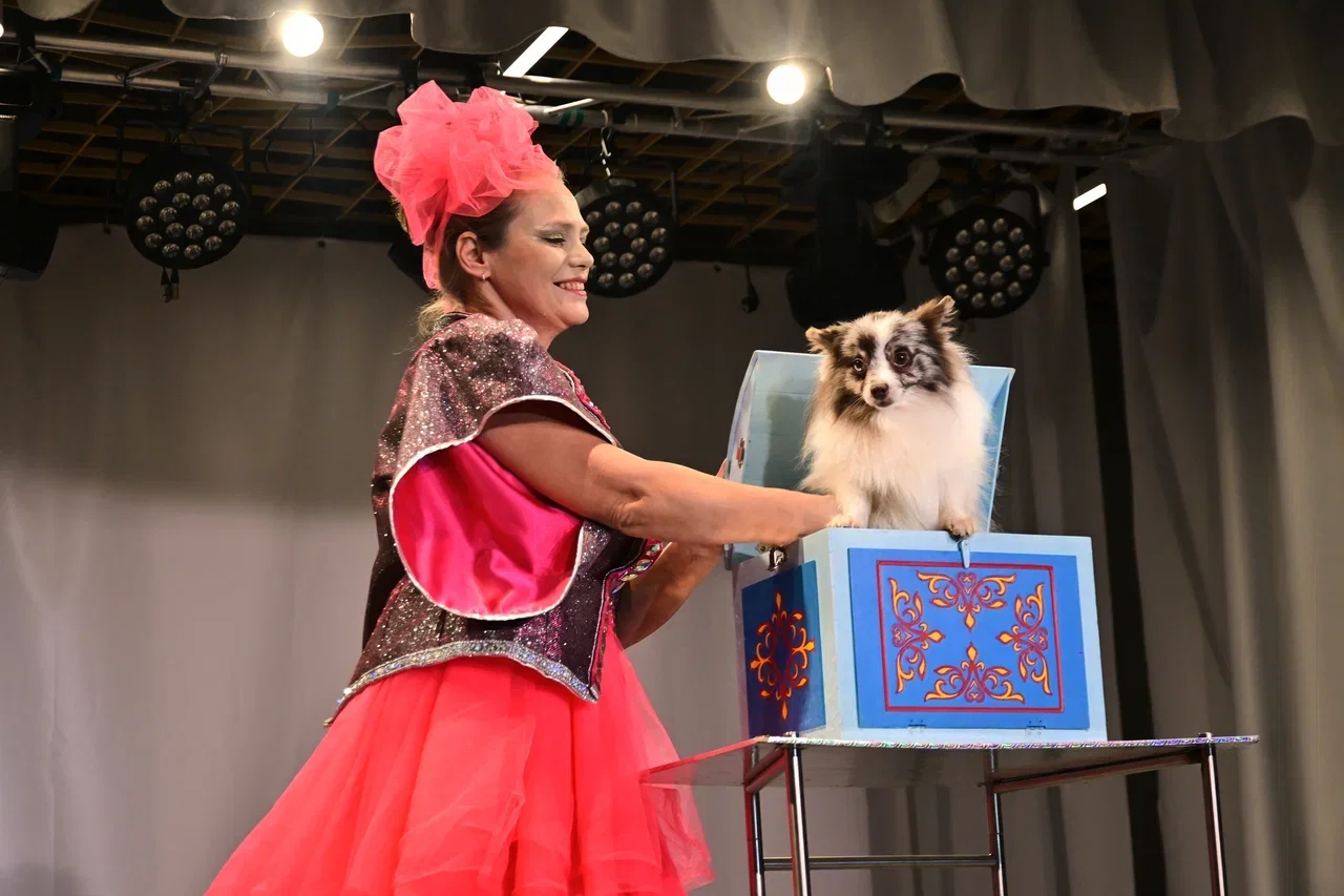 

Билеты на Новогодний цирк (Павильон Республики Казахстан)