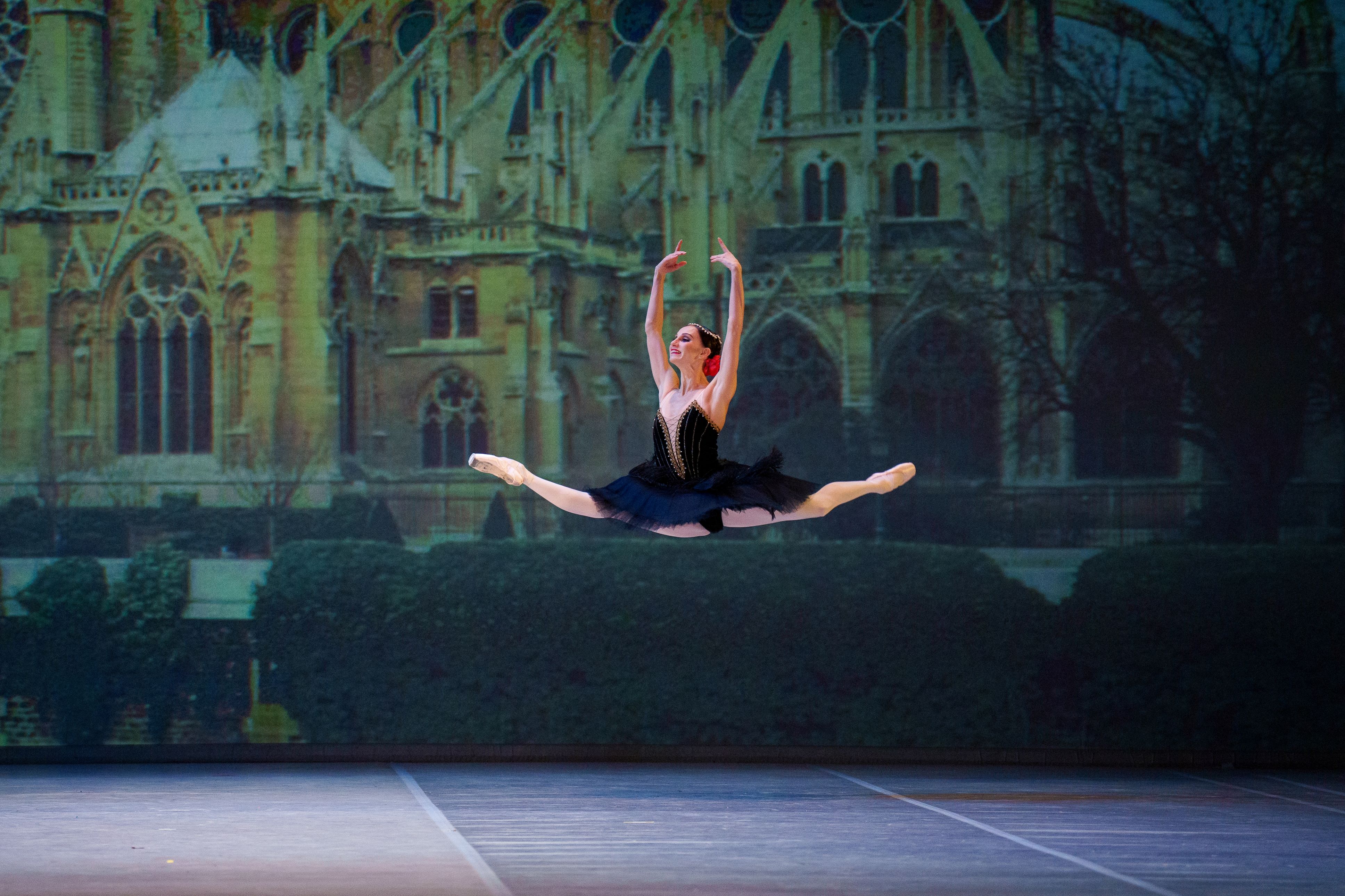 

Билеты на Гала-концерт звёзд балета «Всё о любви» (Александринский театр)