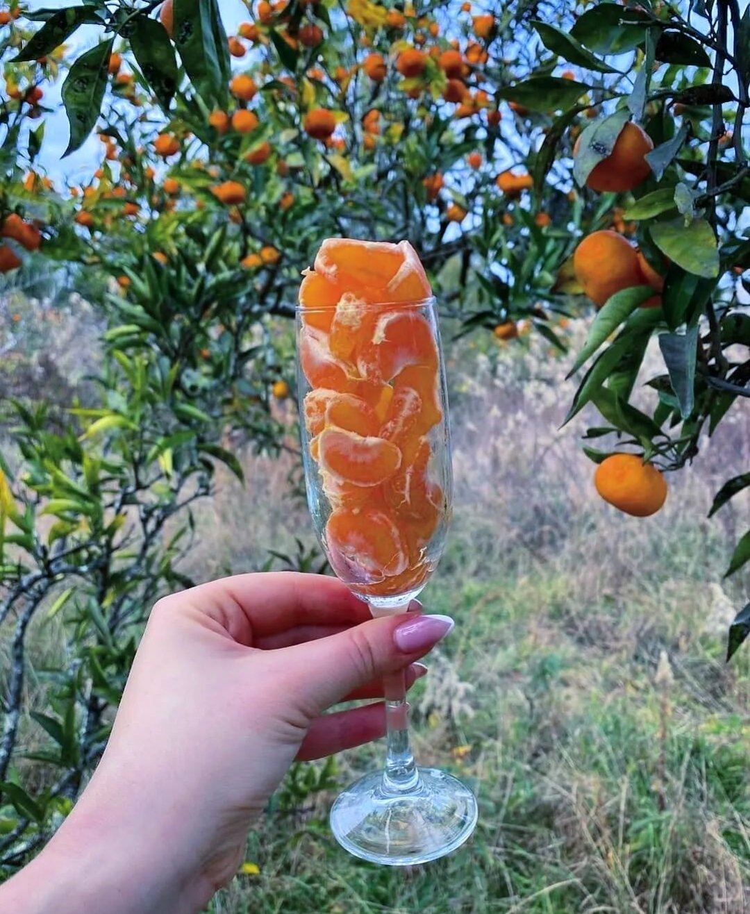 

Билеты на Рицинский экспресс: Гагра, озеро Рица и Пицунда (Рицинский экспресс: Гагра, озеро Рица и Пицунда!)