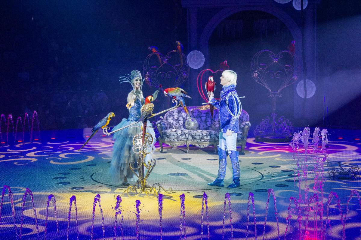 

Билеты на Королевство ледяных фонтанов. Сказка 13 месяцев (Цирк)