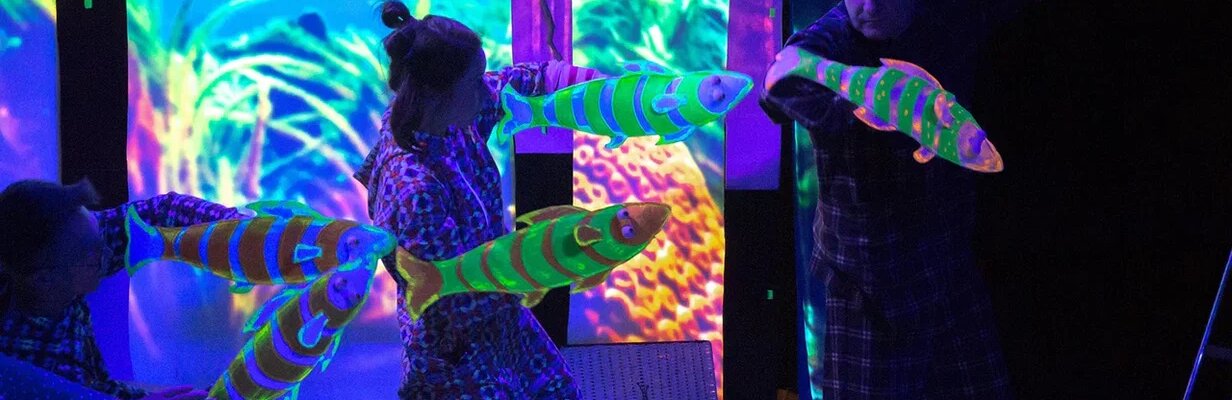 Маленький енот