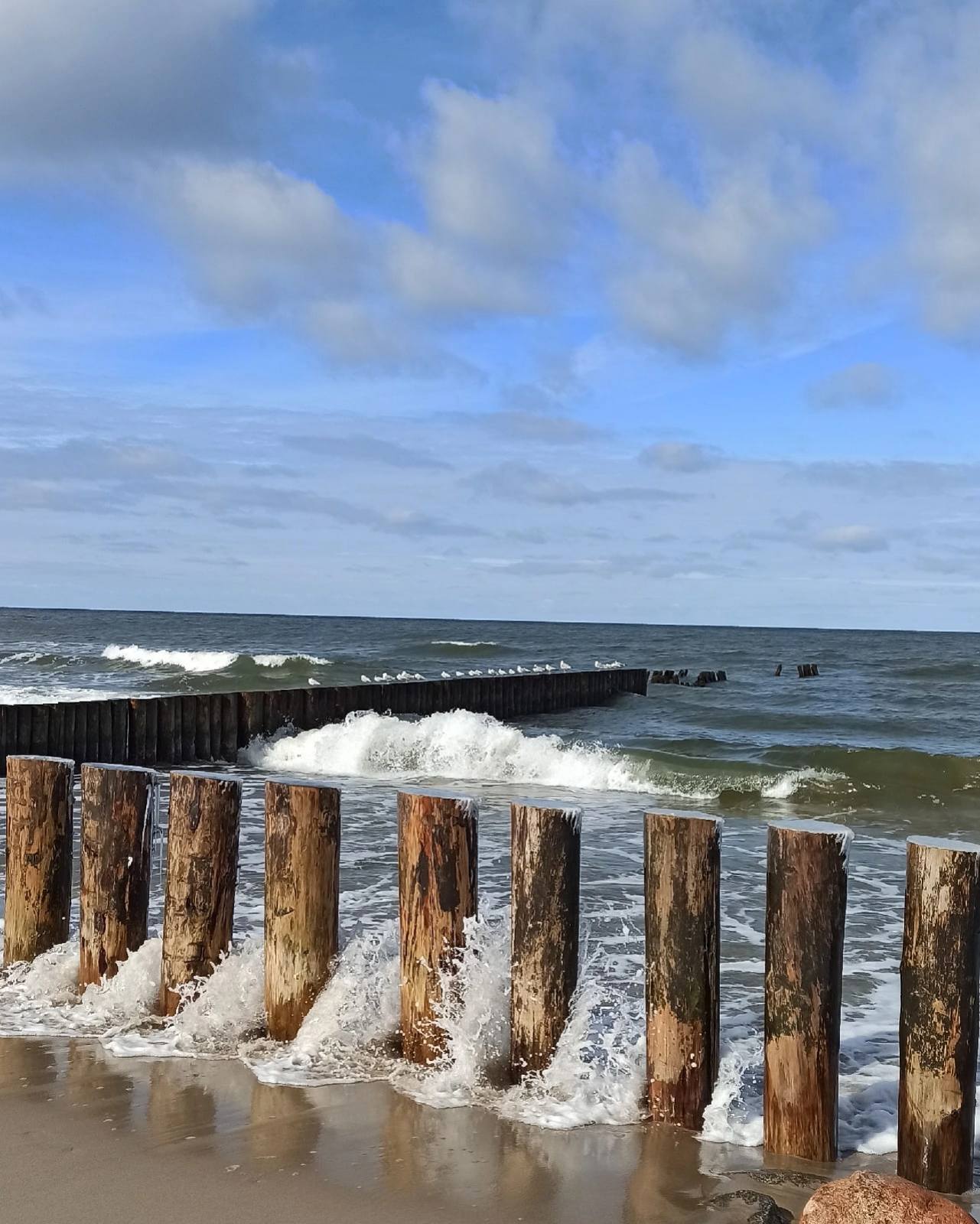 

Билеты на Балтийск, Янтарный, Светлогорск — от порта до курорта! (балтийск, янтарный, светлогорск — от порта до курорта!)