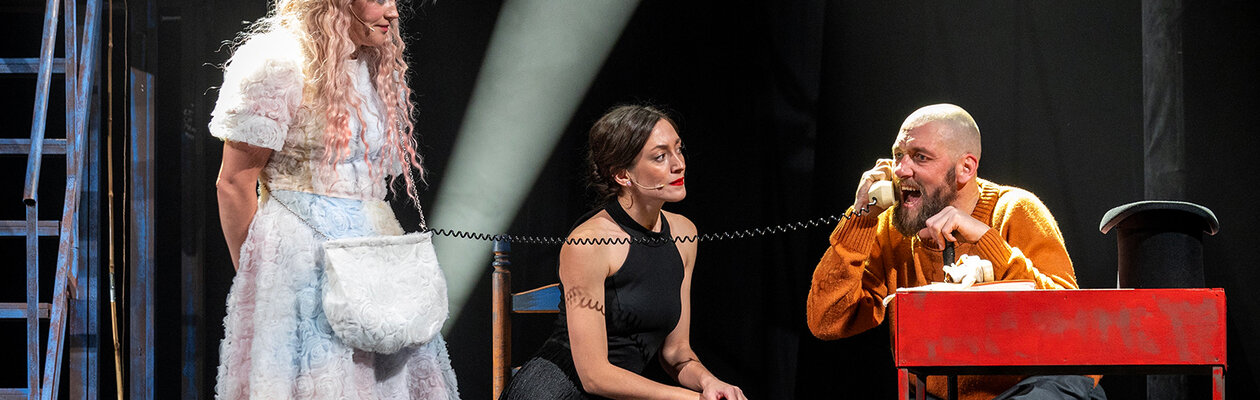 Парк развлечений им. Фокса Микки