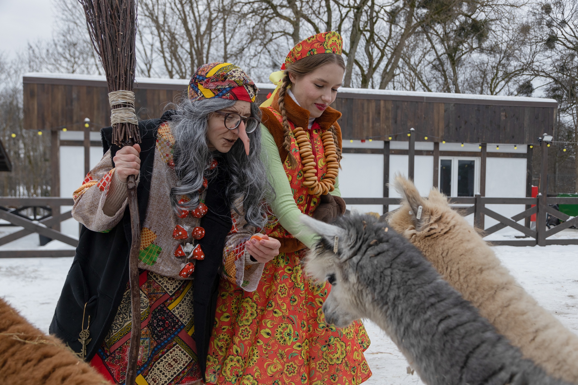 

Билеты на Пушистая масленица в парке альпак «Тиргартен» (Парк альпак «Тиргартен» (Гурьевск))