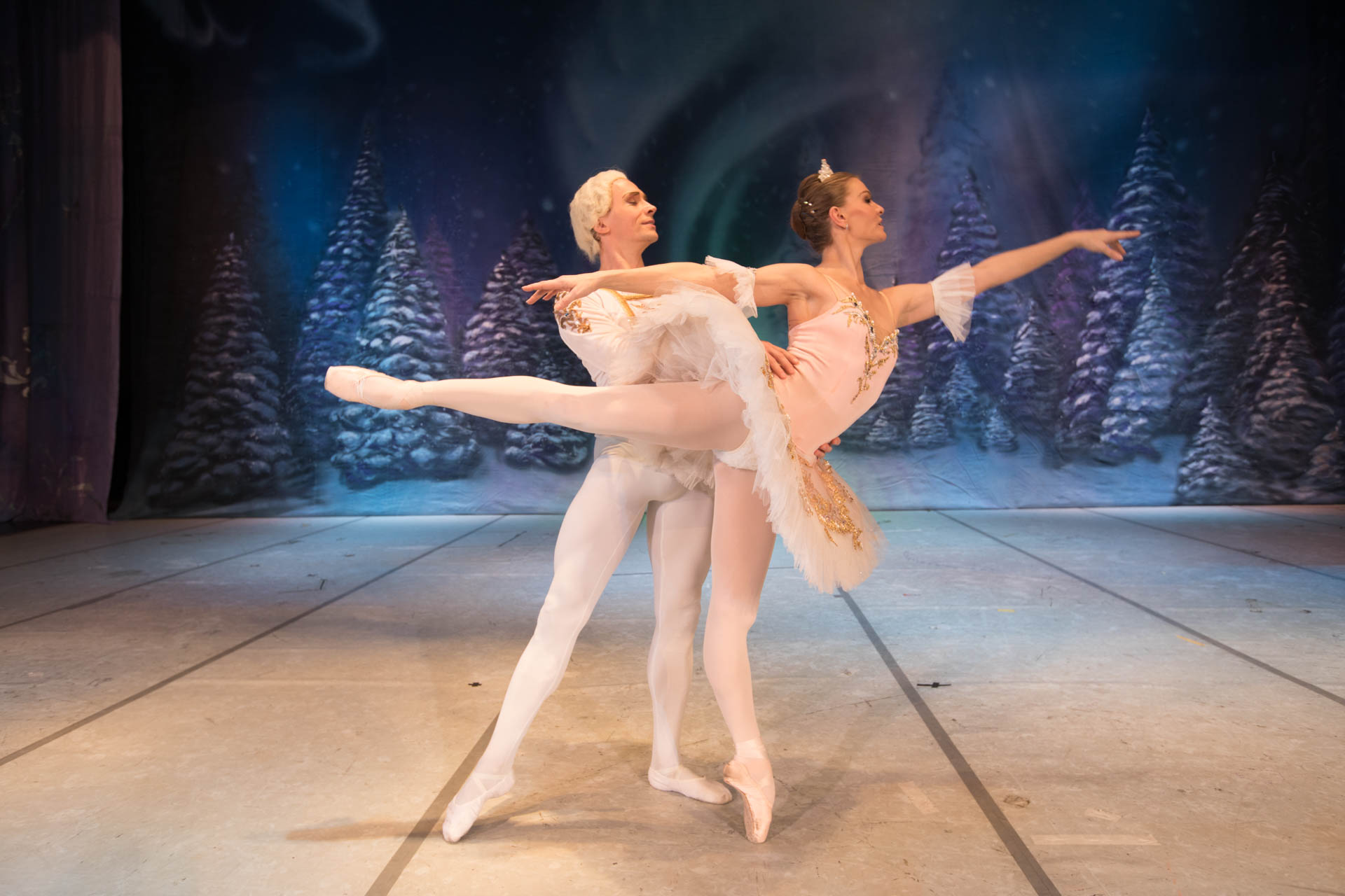 

Билеты на Щелкунчик. Начало (Эрмитажный театр)